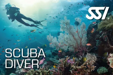 Advanced Open Water Diver